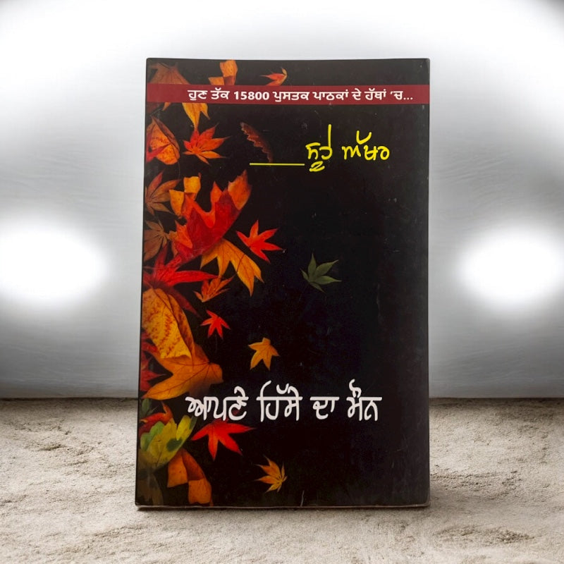 APNE HISSE DA MAUN book cover