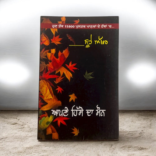 APNE HISSE DA MAUN book cover