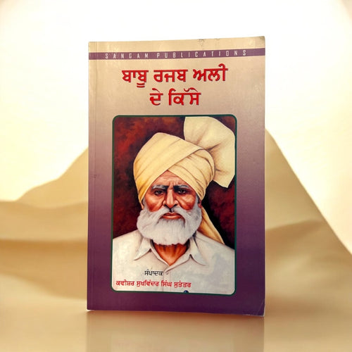 BABU RAJAB ALI DE KISSE book cover