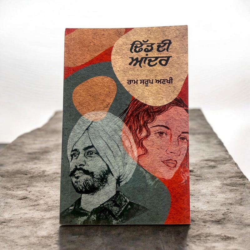 DHIDD DI ANDER book cover