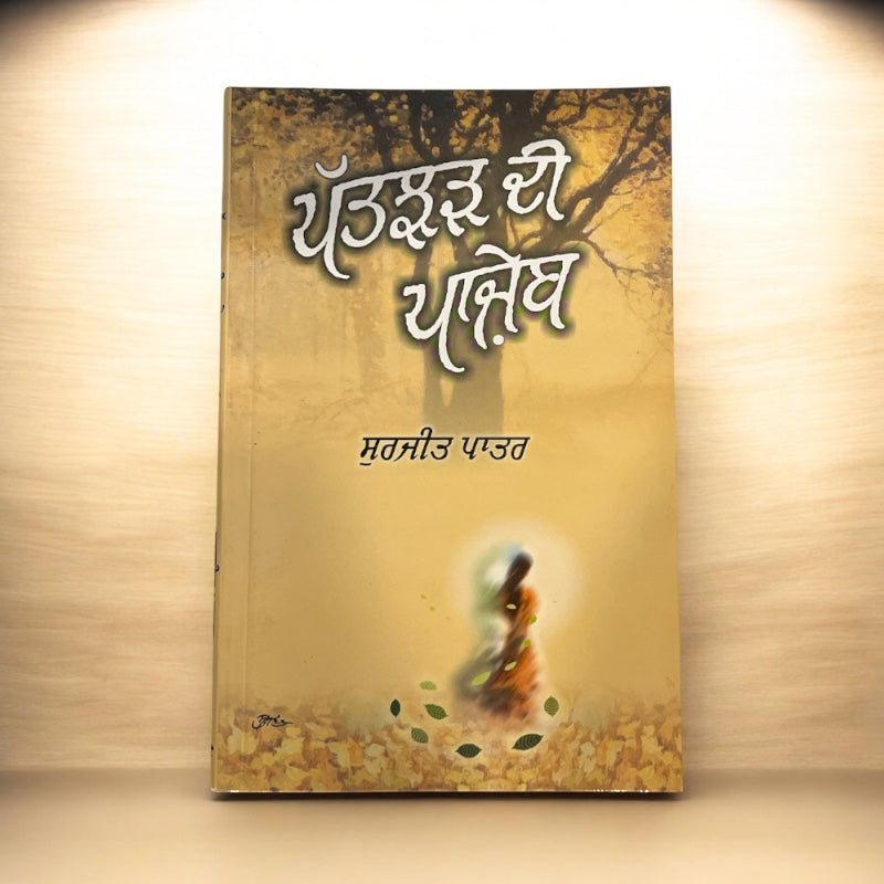 PATJHAR DI PANJEB book cover
