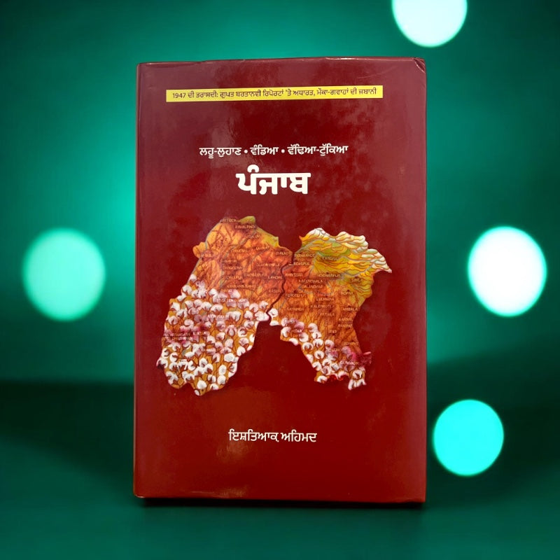 PUNJAB book cover